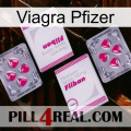 Pfizer Viagra 33